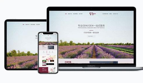 網站安全包括哪些內容？