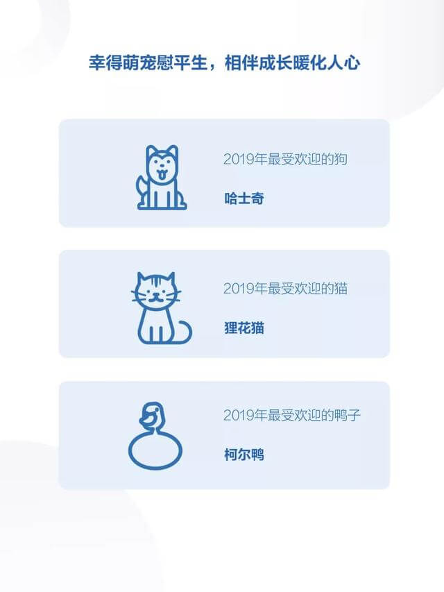 019年度抖音數(shù)據(jù)報(bào)告！"