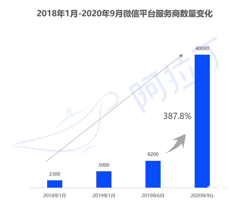 020年小程序互聯(lián)網(wǎng)發(fā)展白皮書"