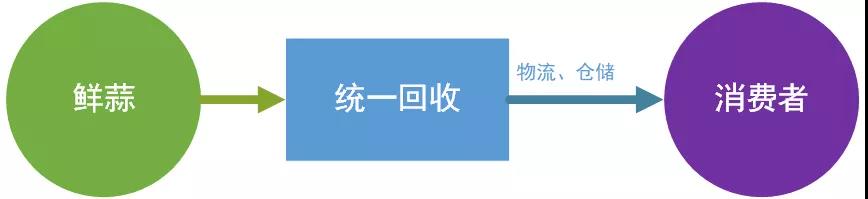 低價,優(yōu)勢,策略,品牌
