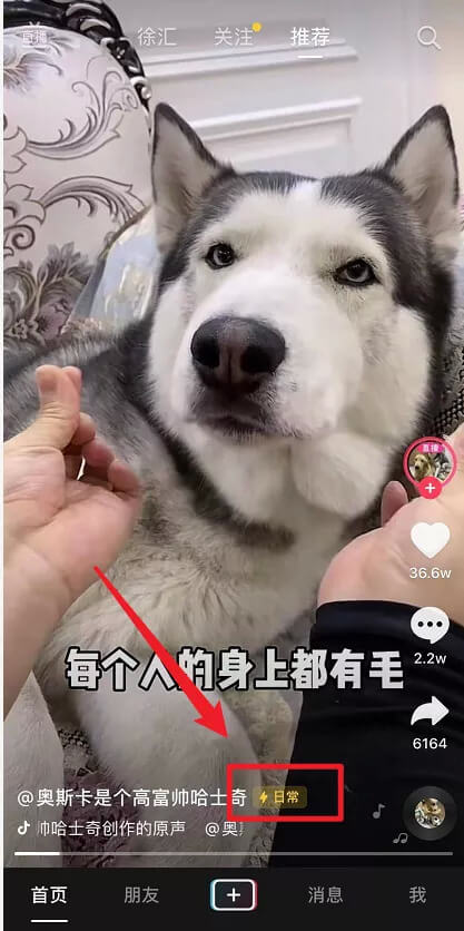 抖音的“朋友圈”來了？