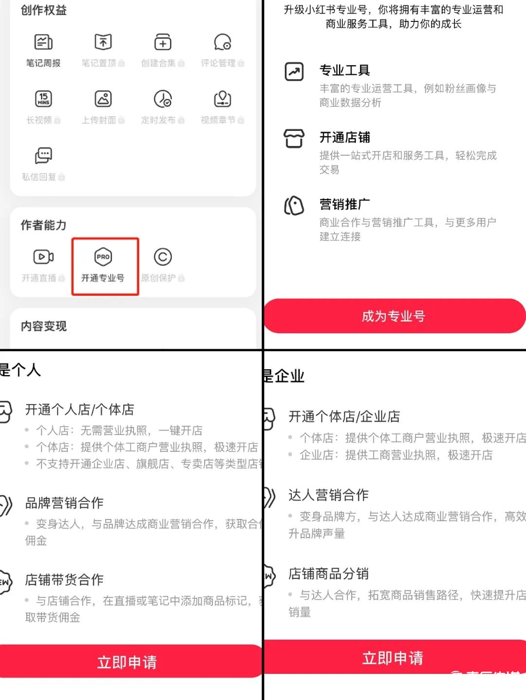 門檻開店，小紅書的“號店一體”是機(jī)會(huì)？