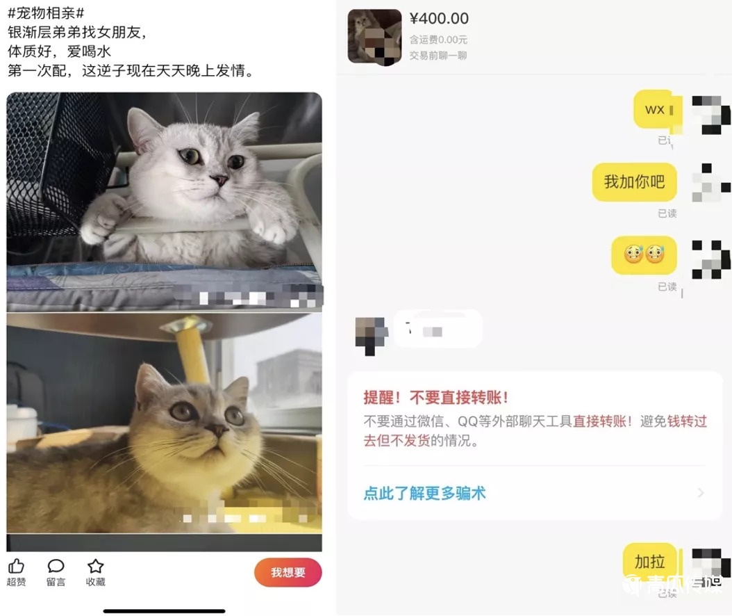 二手電商破圈迷局：新用戶、多元化和下一個(gè)B站？