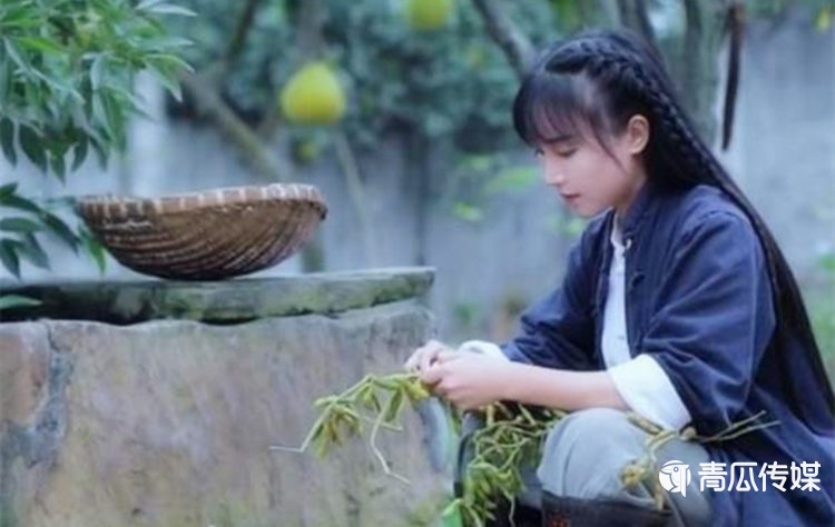誰(shuí)在“吞噬”李子柒？
