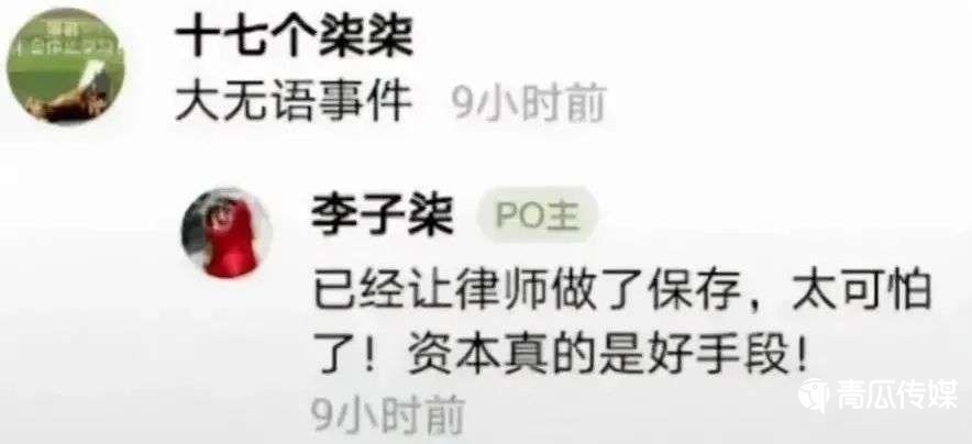 誰(shuí)在“吞噬”李子柒？