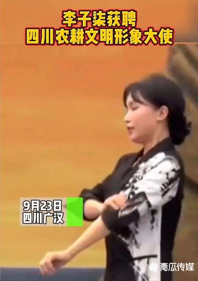 誰(shuí)在“吞噬”李子柒？