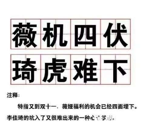 雙十一附體李佳琦