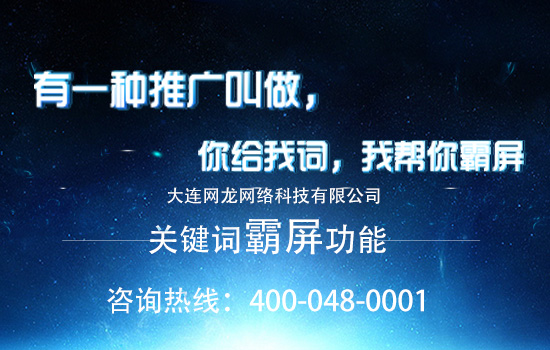 大連網(wǎng)龍科技全網(wǎng)營銷領跑者，做全網(wǎng)營銷選云刷屏系統(tǒng)！霸氣