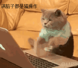 年薪百萬(wàn)卻辭職賭牌7年，他創(chuàng)辦貨拉拉日訂單10萬(wàn)+