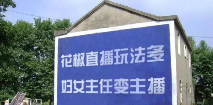 農(nóng)村的年輕人在城里送外賣，城市的年輕人卻去農(nóng)村刷墻