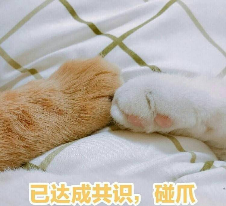111