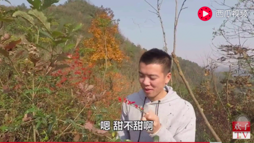 圖片3